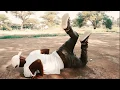 Download Lagu Prince Kaybee- Fetch Your Life ft. Msaki (DanceVideo From Botswana)