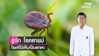 โรคแรมเกิดจากอะไร และถ่ายทอดเชื้ออย่างไร