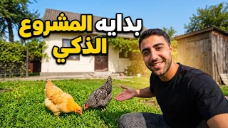 أول يوم للدجاج بالمزرعة… وبدأ المشروع اللي مخططله من زمان! 😳🐔🔥