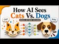 How Neural Networks Work Cat vs Dog Image Detection Explained Simply