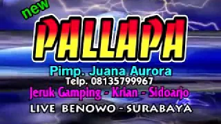 Download ANGGE ANGGE ORONG ORONG-AGUNG DJUWANDA FEAT VIVI ROSALITA-NEW PALLAPA MP3