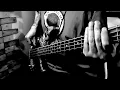 Amapola del 66 DIVIDIDOS Cover Bajo