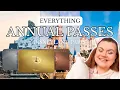 EVERYTHING Annual Passes for Disneyland Paris Cost Breakdown and if YOU should get one
