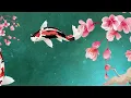 Panther - Rulaoge Na (Official Lyric Video)