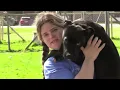 Pick Your Next Pet at the Ashtabula County Animal Protective League