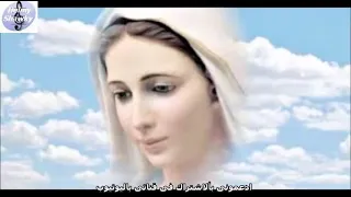 انت الشفــيع الاكرم 