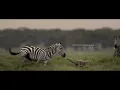 Mumford & Sons - Mumford & Sons And National Geograpic Present: 42 (Lyric Video)