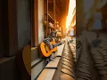 Download Lagu Kucing ngamen