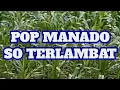 Download Lagu SO TERLAMBAT,POP MANADO