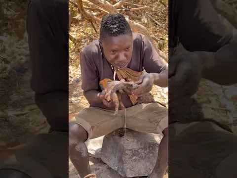 King of the tribe Chaba