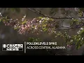 Pollen levels spike across central Alabama