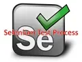 Selenium Class 3 Selenium Test Process