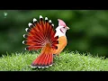 80 Most Beautiful Birds on Earth | Relaxing Birdsong & Deep Sleep Sounds 4K