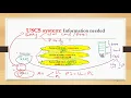 SOIL CLASSIFICATION PART 3