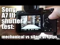 Lagu Sony A7 III shutter test - mechanical vs silent at 10fps