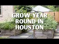 Houston Gardening Tips Learn What to Plant Each Month