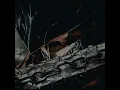 ZWE1HVNDXR - THOMAS (Ultra Slowed + Reverb)