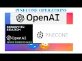 PINECONE OPERATIONS CREATE COLLECTION CREATE INDEX DELETE INDEX QUERY INDEX VECTOR DB
