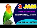 Download Lagu 2 JAM MELATIH LOVEBIRD NGEKEK PANJANG FULL ..ampuh buat masteran LB paud ..
