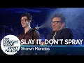 Download Lagu Slay It, Don't Spray It with Shawn Mendes