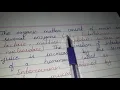of digestion secretions of intestinal juice succus entericus