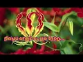 நிலமும் வானும் கடலும் நேற்று | Nilavum Vaanum Kadalum Netru | தாயகப் பாடல் | Thaayakapaadalkal