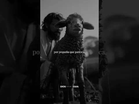 El mismo Dios que te cuidó ayer, es el mismo que te cuida hoy #oración #fe #diosesmiguia