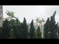 Typhoon Hato Flooding. Stanley.#Breaking . #TyphoonHato . Hong Kong.