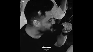 اغنية انا ثم انا ثم مافيش حد ابن الاسد الفنان احمد عامر 