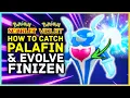 Pokemon Scarlet and Violet - How To Catch Palafin Evolve Finizen Super Hero Pokemon Location