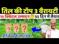 Download Lagu 2025 में तिल की टॉप तीन वैरायटी | Sesame seeds | Awasthi til seed | til ki kheti ki kheti kaise kare