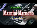 Download Lagu MARNINI MARNONO [KARAOKE] HOBASTA TRIO