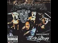 Bitch Please (feat. Xzibit) - Snoop Dogg