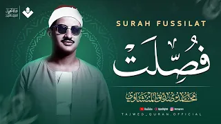 تلاوة مؤثرة تنفض الغفلة من قلبك سورة فصلت كاملة الشيخ محمد صديق المنشاوي 