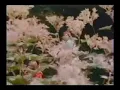 Bee Gees Sweet Memory
