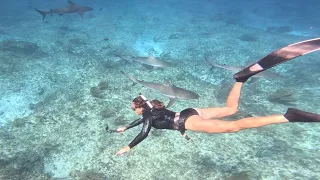 Conquering Fears in Bimini: Swimming with Reef Sharks!