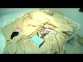 Inside El Chapo s Hide Out Short Take NBC News
