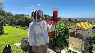 Bee prepared