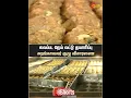 Lagu Tirupati | Laddu Issue | Ghee | Temple | Sun News