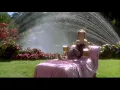 Julie Bowen lingerie in happy Gilmore