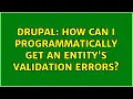 Drupal How can I programmatically get an entity s validation errors