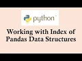 Python basic course Working with Indexes of Pandas Data Structures