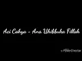 Download Lagu Lirik lagu Ana Uhibbuka Fillah