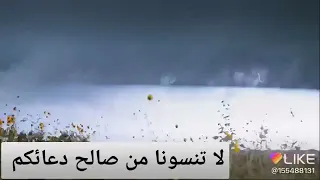 و ل ا ت خ ز ن ي ي و م ي ب ع ث ون تلاوة تهز القلوب محمد اللحيدان Mp4 