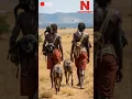 Download Lagu Meet the Hadzabe Tribe: Africa's Last Great Hunters!💥#hadzabetribe #hunting