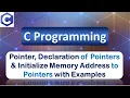 Pointers Declaration of Pointer and Initialize Memory Address to Pointers with Examples C Program