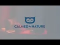 Cozy Cabin Ambience - Rain and Fireplace Sounds at Night 8 Hours for Sleeping, Reading, Relaxation