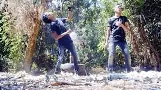 مهرجان هنولع                      دندنها