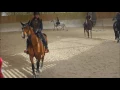 Cours CSO des G7: Travail des foulées sur une ligne
