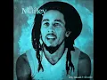 bob marley- guiltiness (lyrics)